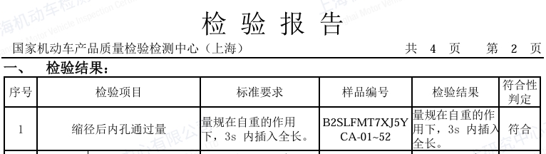 通過(guò)量檢驗報告